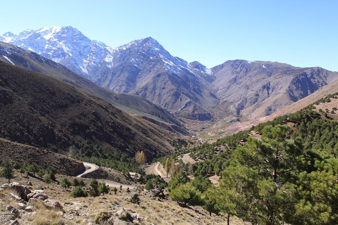 Private Day Trip From Marrakech to Ourika Valley - Reviews