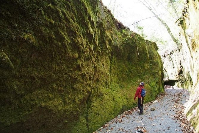 Private Day Trip of Lake Shikotsu and Moss Canyon - Tour Inclusions