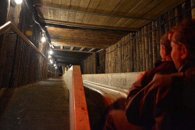 Private Day Trip to Hallstat & Salt Mine From Vienna With a Local - Highlights