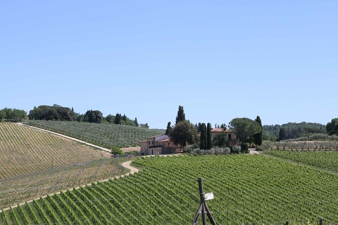 Private Daytrip to Siena & Chianti Wine Country, With Wine Tasting From Florence - Customer Reviews