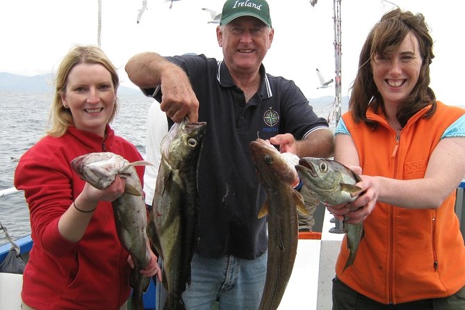 Private Deep-Sea Fishing Excursion in Dingle Bay - Pricing and Booking