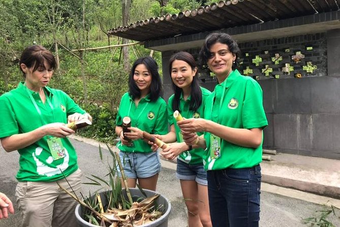 Private Dujiangyan Panda Base Panda Rescue Center Volunteer for a Day - Reviews and Feedback