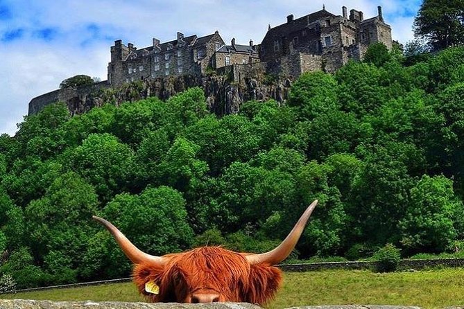 Private Edinburgh Shore Excursion Driving Tour to Stirling, Battle Of Banockburn - Stirling Castle Visit