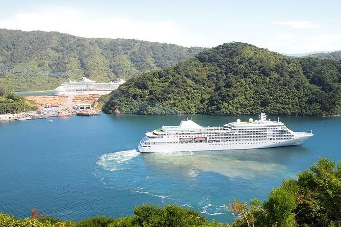 Private Excursion: Scenic and Seascape Delights From Picton - Pricing and Customer Reviews