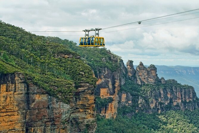 PRIVATE Featherdale Zoo Blue Mountains Scenic World in Luxury Car - Pricing Information