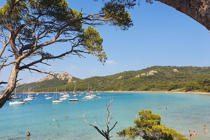 Private Full-Day Boat Trip to Porquerolles - Transparent Pricing Details