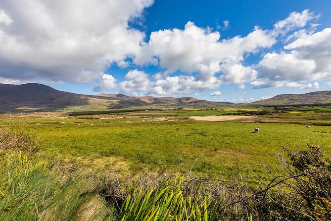 Private Full-Day Dingle Peninsula Slea Head Drive Tour - Transportation Details