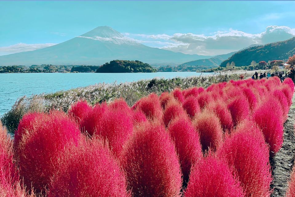 Private Full Day Sightseeing Tour to Mount Fuji and Hakone - Customer Experience