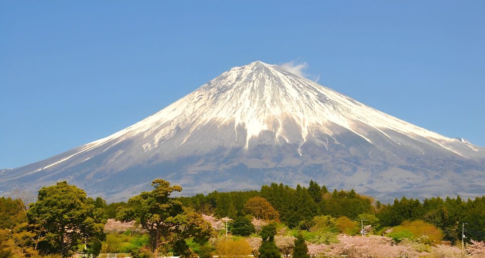 Private Full-Day Tour From Tokyo to Mount Fuji and Hakone - Experience