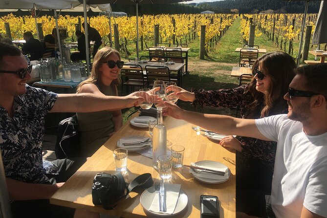Private Full-Day Wineries Tour With Lunch, Martinborough (Mar ) - Reviews and Recommendations