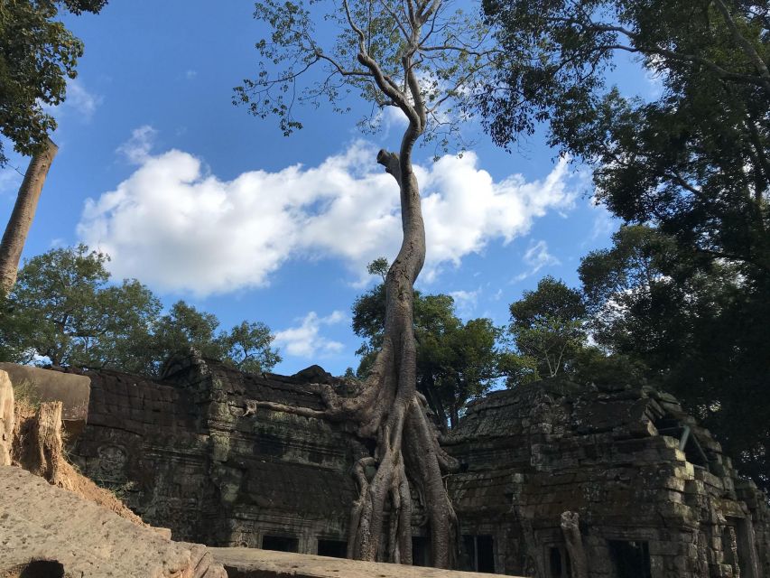 Private Guide: 1-Day Tour to Angkor Wat - Booking Information and Pricing