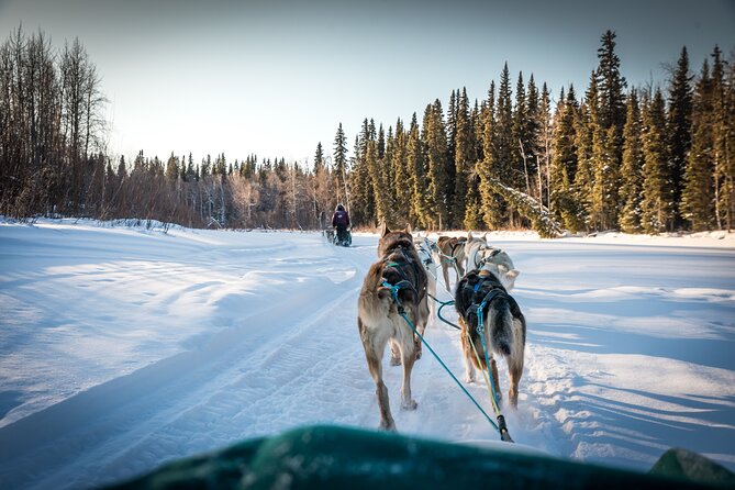 Private Guided Chena River Mush Dream Vacation in Fairbanks - Tour Overview