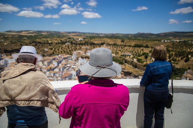 Private Guided Day Trip to the White Villages and Ronda From Seville - Highlights of the Day Trip
