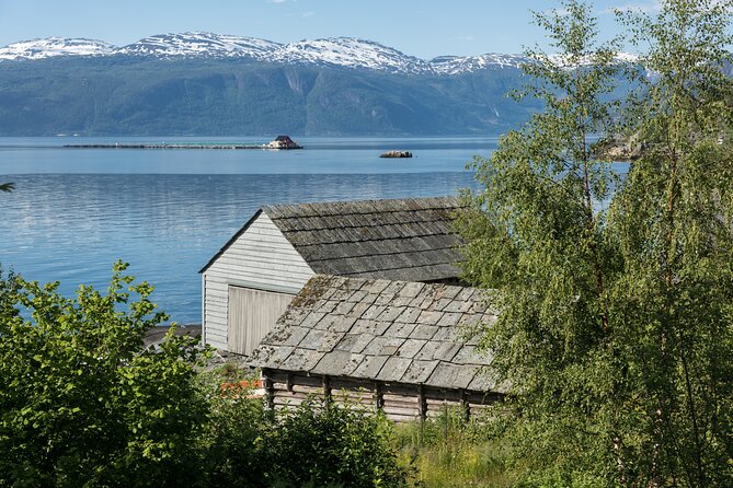 Private Guided Hardangerfjord Day Tour - Accessibility Information