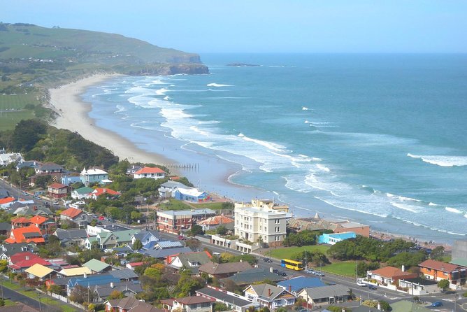 Private Guided Tour of Dunedin City Heritage and Unique Wildlife and Scenery - Tour Details and Inclusions