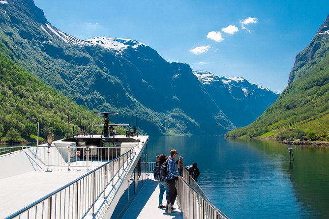 Private Guided Tour - Premium Nærøyfjord Cruise and Flåm Railway - Guide Appreciation