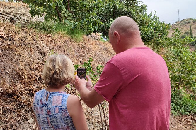 Private Guided Tour to the Only Coffee Farm in Europe - Tasting Experience