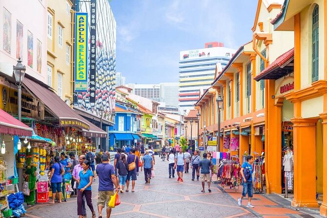 Private Half-Day Driving Tour in the Heart of Singapore - Insider Tips and Recommendations