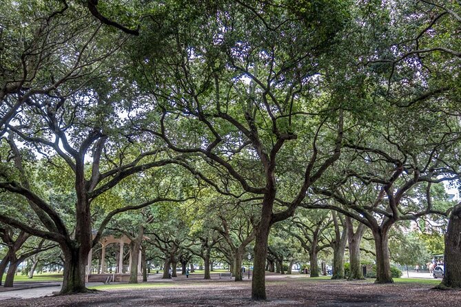 Private Historic Horse & Carriage Tour of Charleston - Ticket Redemption Details