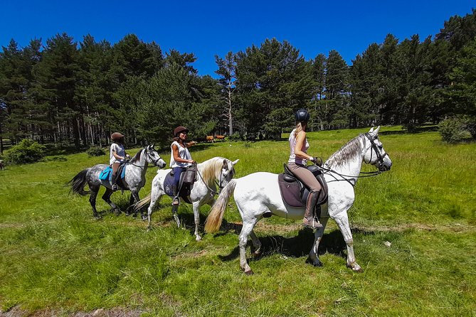 Private Horse Ride in Madrid Natural Park Reserve - Pricing and Booking Details