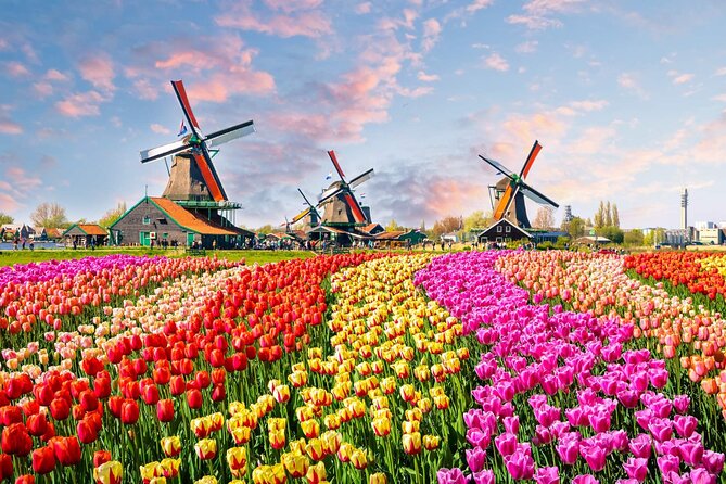 Private Keukenhof Tulip Fields & Flowers Sightseeing Tour From Amsterdam - Tour Experience
