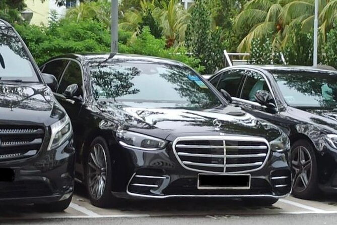 Private Limousine Transfer in Singapore - Accessibility and Amenities