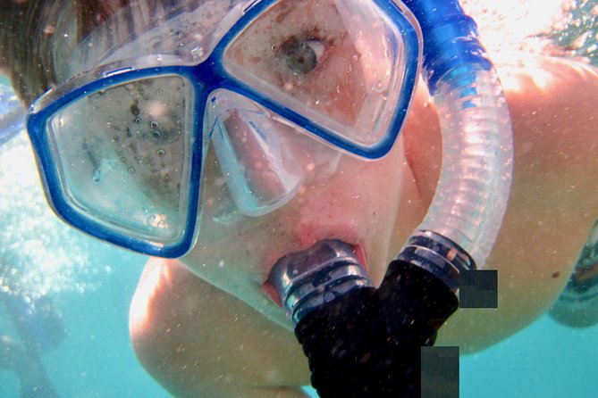 Private Looe Key Snorkel From Big Pine Key - Confirmation and Accessibility Information