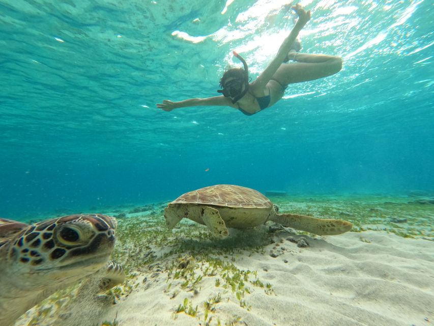 Private Meno Trip 2 Hours With Gopro Camera Included - Experience Highlights