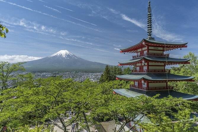 Private Mount Fuji Tour - up to 9 Travelers - Timing and Logistics