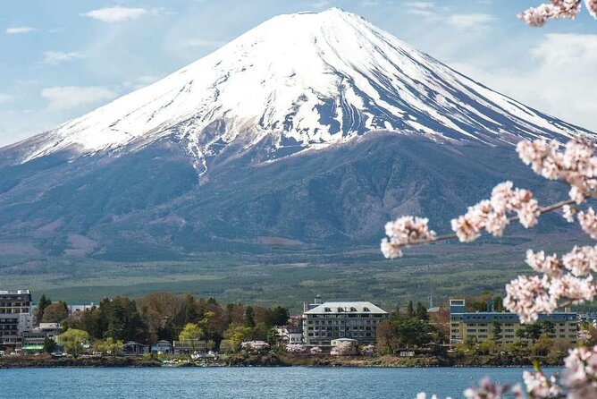 Private Mt. Fuji Custom Tour From Tokyo - Enhancing Traveler Engagement Through Photos