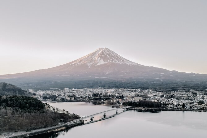 Private Mt Fuji, Hakone and Tokyo Tour-English Speaking Chauffeur - Tour Details