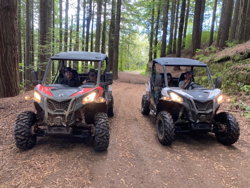 Private Off-Road Buggy Driving Experience (Pickup Included) - Experience Highlights