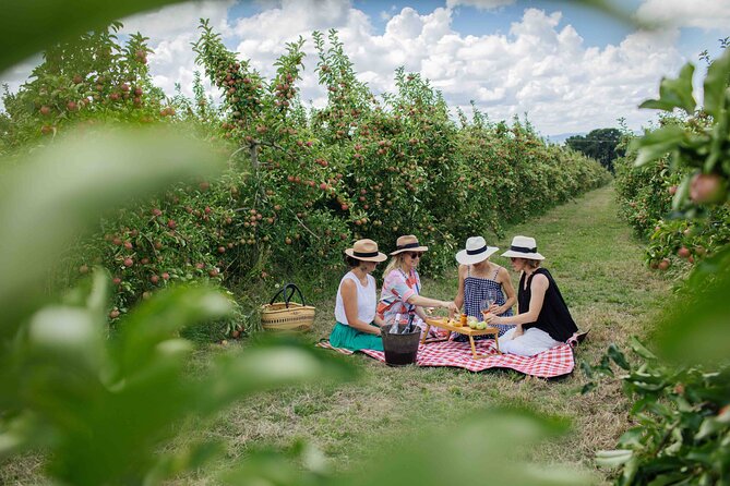 Private Picnic Lunch Experience in Orange With Wine - Participant Guidelines