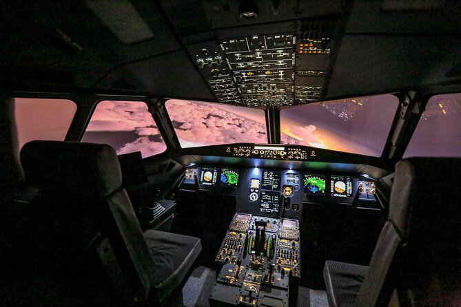 Private Pilotage of a Flight Simulator in Paris - Accessibility and Facilities