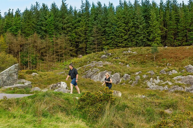 Private Ring of Kerry and Skelling Ring Tour From Killarney - Booking and Pricing Details