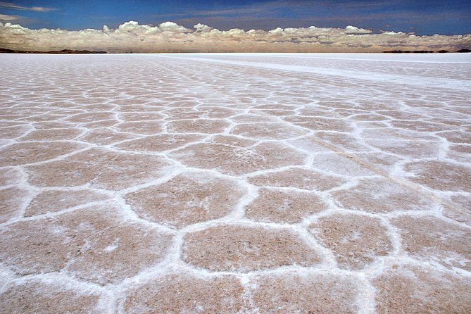 Private Salt Flat Full-Day Tour Including the Cemetery of Trains and Lunch From Uyuni - Support and Assistance