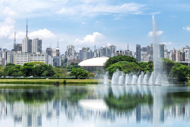 Private São Paulo Tour With Ibirapuera Park, Paulista Av and Downtown Visit - Pricing and Options