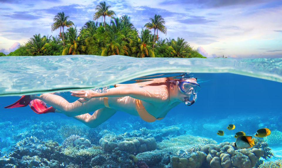 Private Sea-Nic, Sip N' Snorkel on a Semi-Submersive Craft - Experience Highlights