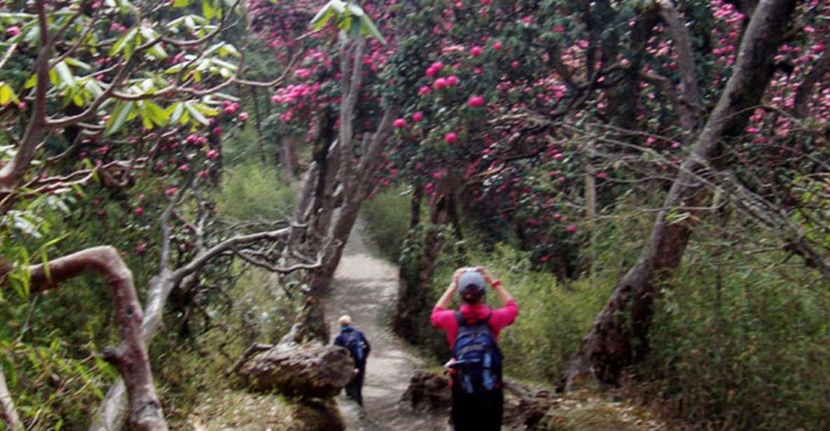 Private Shivapuri Day Hiking From Kathmandu - Pickup Information