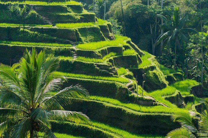 Private Shore Excursion: Customized Best of Bali Tour - Cancellation Policy