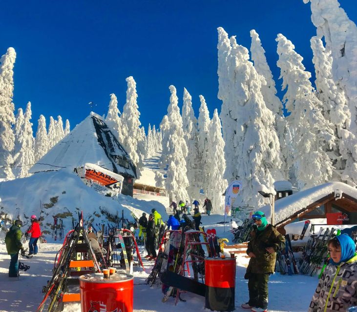 Private Ski Lessons on Poiana Brasov - Booking and Cancellation