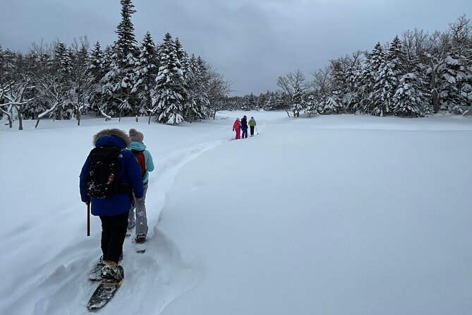 Private Snow Shoe Tour in Shiretoko National Park - Customer Reviews