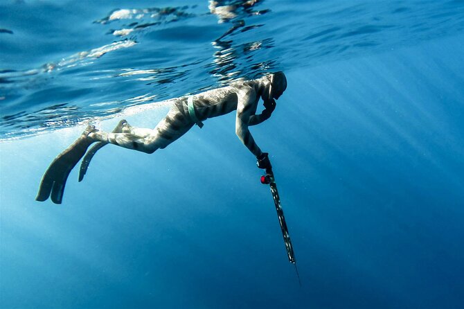 Private Spearfishing Trip From Athens - Pricing and Refund Policy