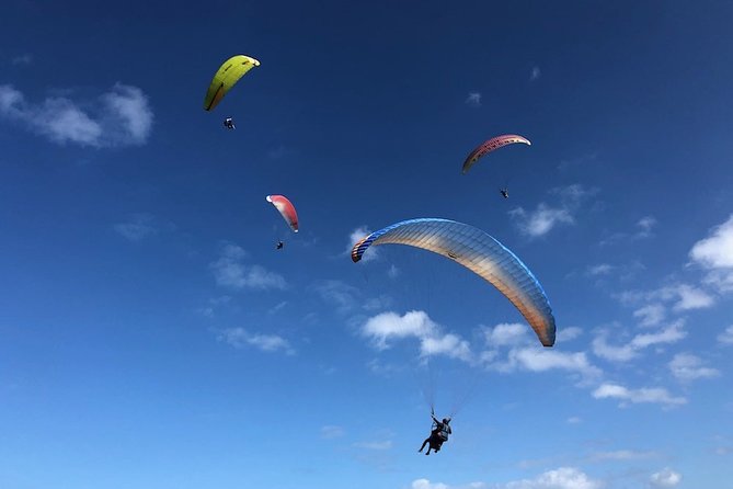 Private Tandem Paragliding Flight in Bizkaia - Safety Precautions