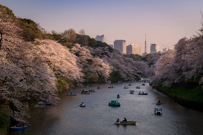 Private Tokyo Photography Walking Tour With a Professional Photographer - Meeting Point in Shibuya