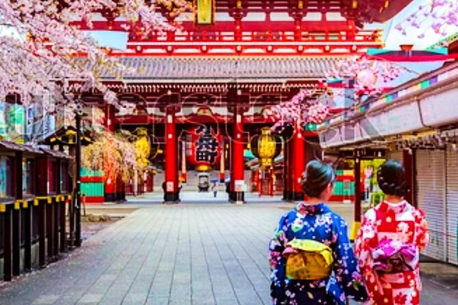 Private Tokyo Tour With English Speaking Guide: Tailored to You ! - Booking Information