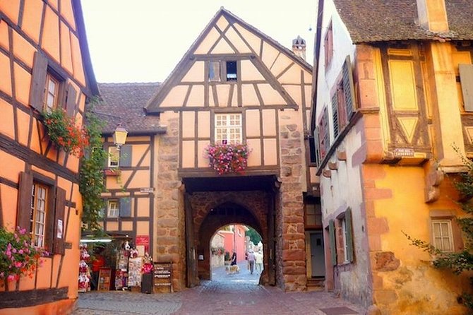 Private Tour: Alsace Villages and Wine Day Trip From Colmar - Wine Tasting Experiences