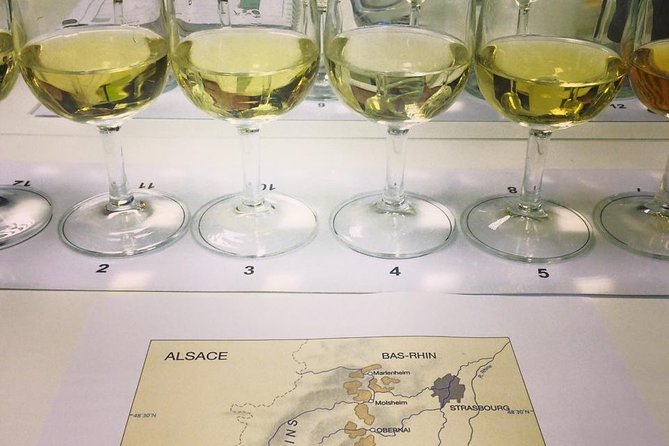 Private Tour: Alsace Wine Tasting Day Trip From Colmar - Traveler Experience