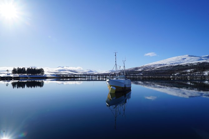 Private Tour: Customizable Cruise on Luxury Yacht From Tromso - Booking Information