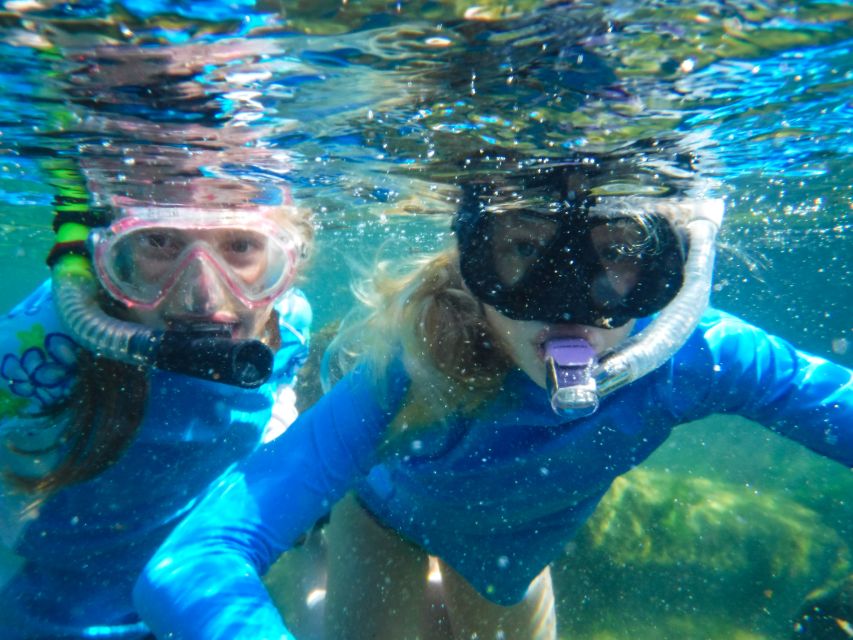 Private Tour: Great Snorkeling Adventure at the Riviera Maya - Experience Highlights
